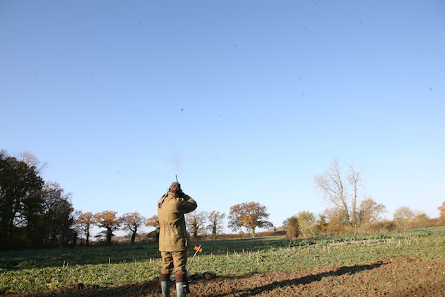 Driven pheasant day: How to tell which is your bird and which is your neighbour&#8217;s
