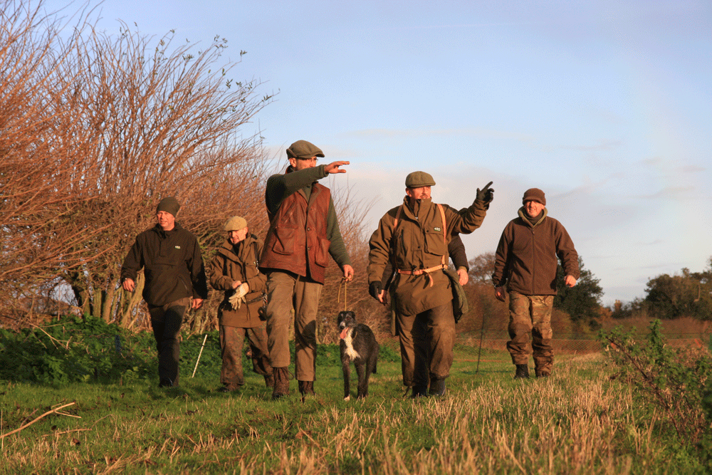 Ferreting in Suffolk: The return of the Jolly boys