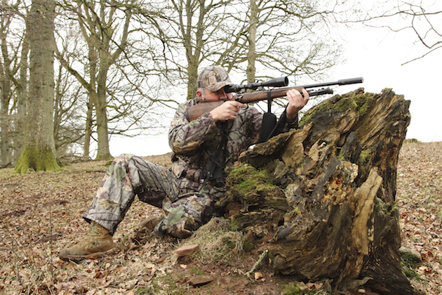 shooting grey squirrels