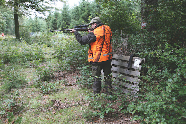 Deer stalker in orange blaze jacket