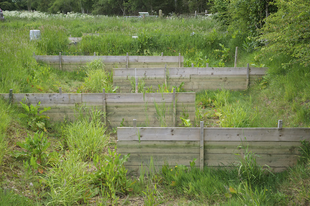 GWCT wetlands project