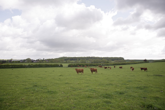 farmland