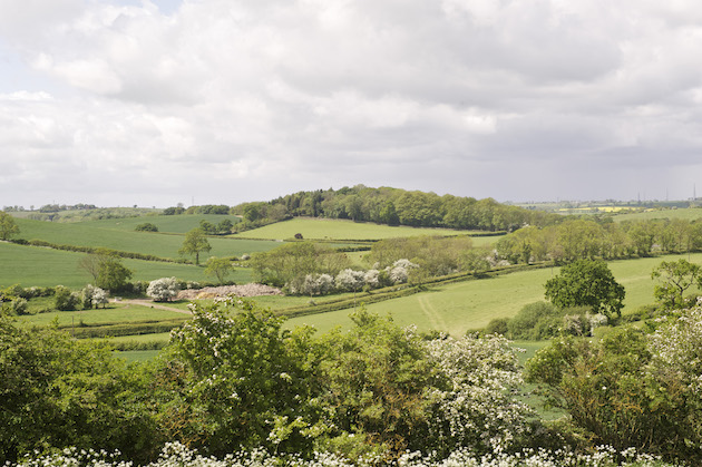general licence changes in Wales effect 