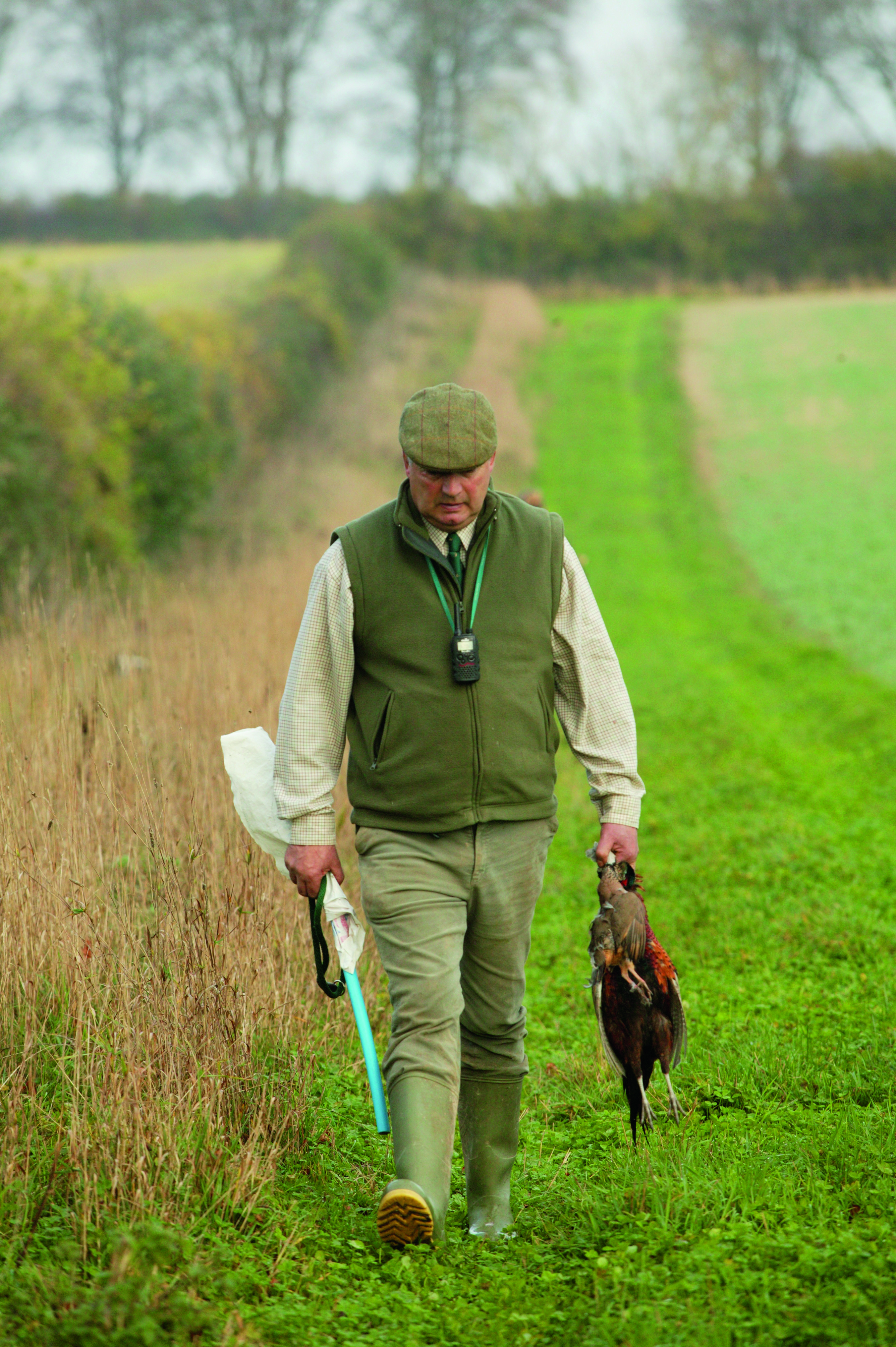 Field manager 