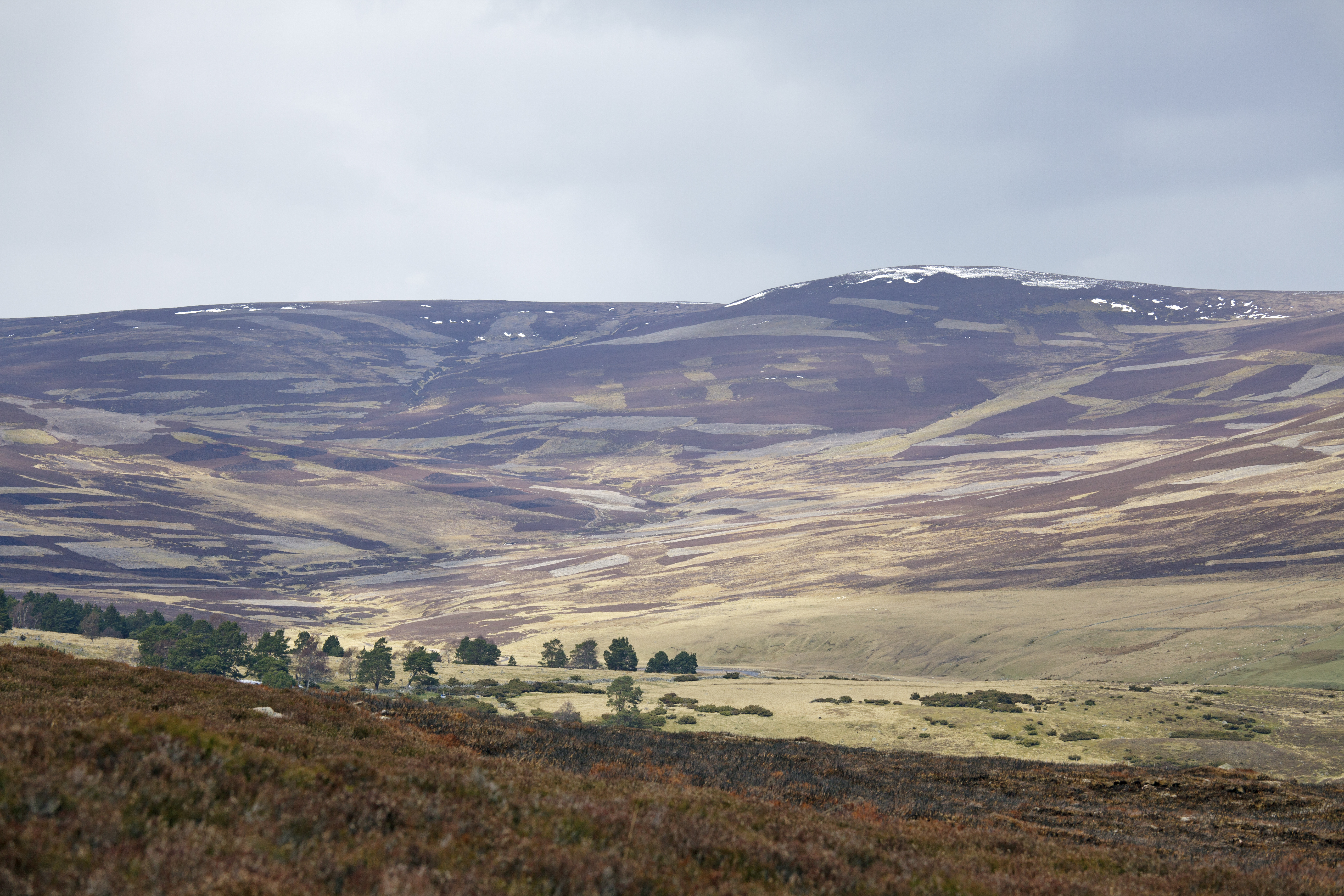 countryside of Scotland 
