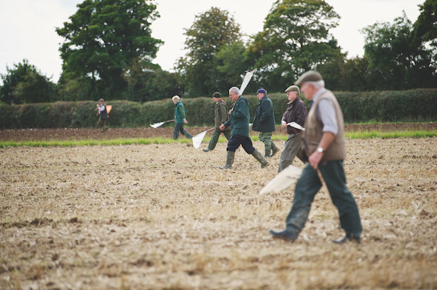 Five key reads for the partridge season