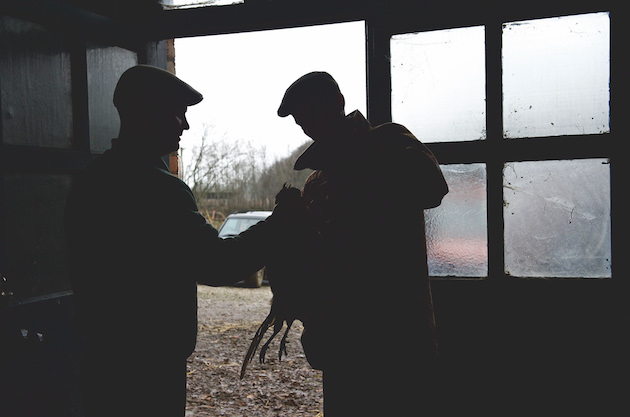 shooter with pheasants
