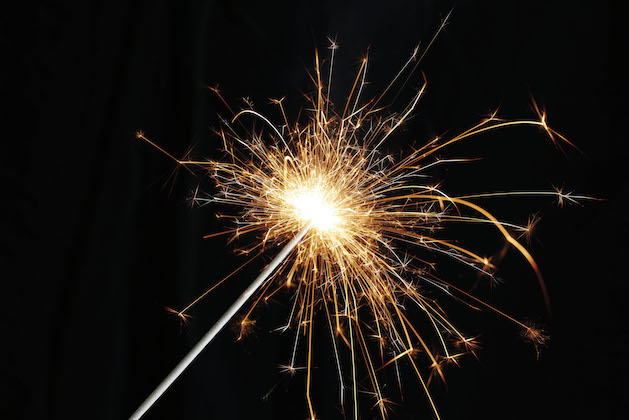 How to cure firework fear in dogs