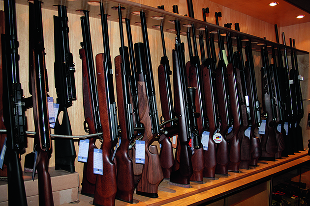 Government airgun consultation underway