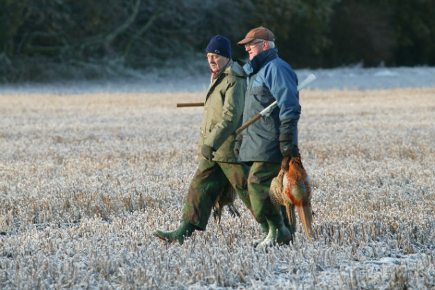 Send us your Boxing Day shoot photographs