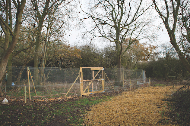 release pen for pheasants 