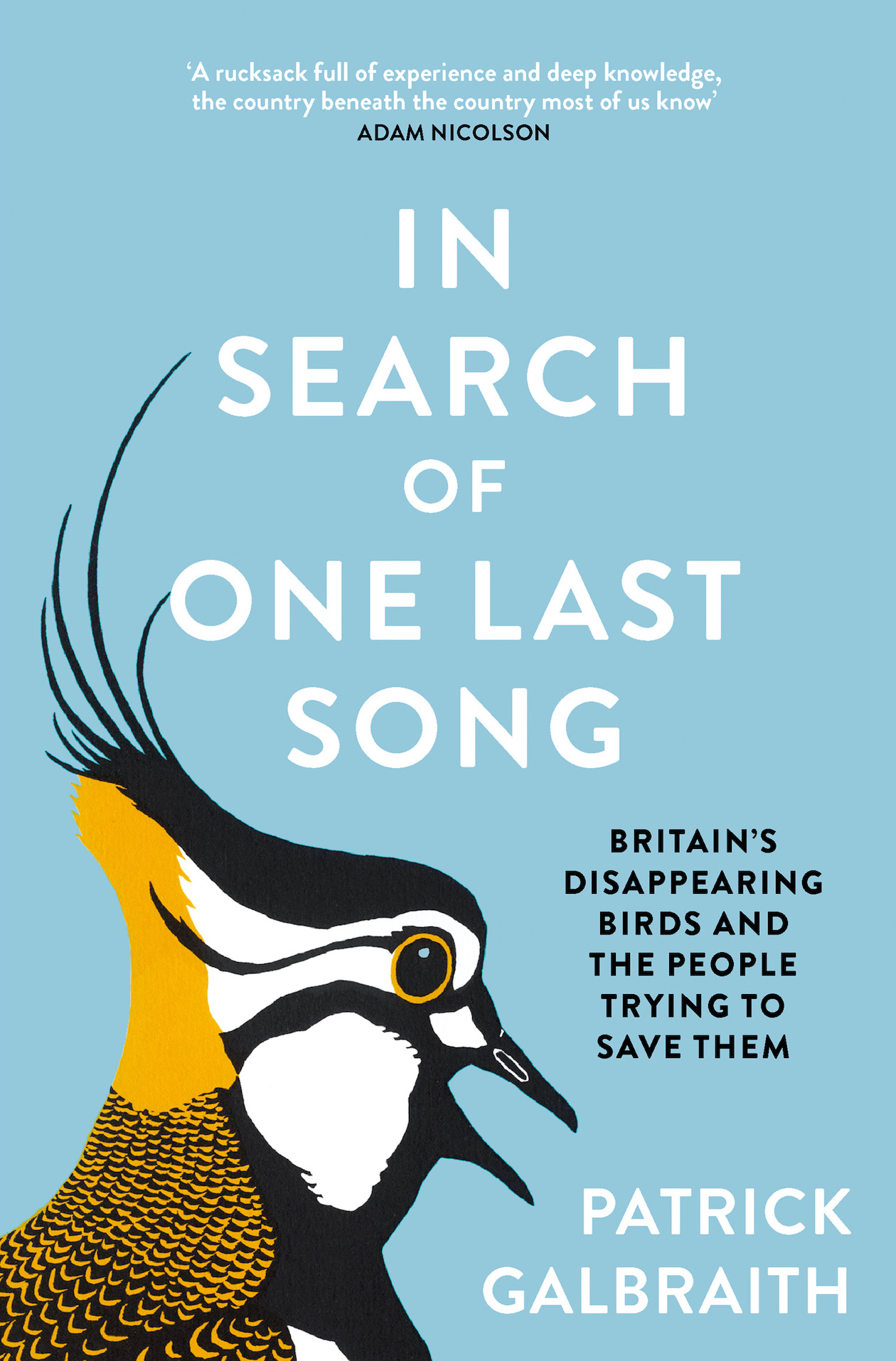 In Search Of One Last Song 