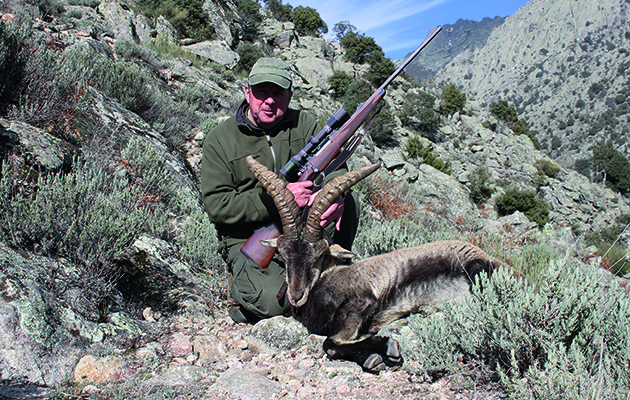 Ibex