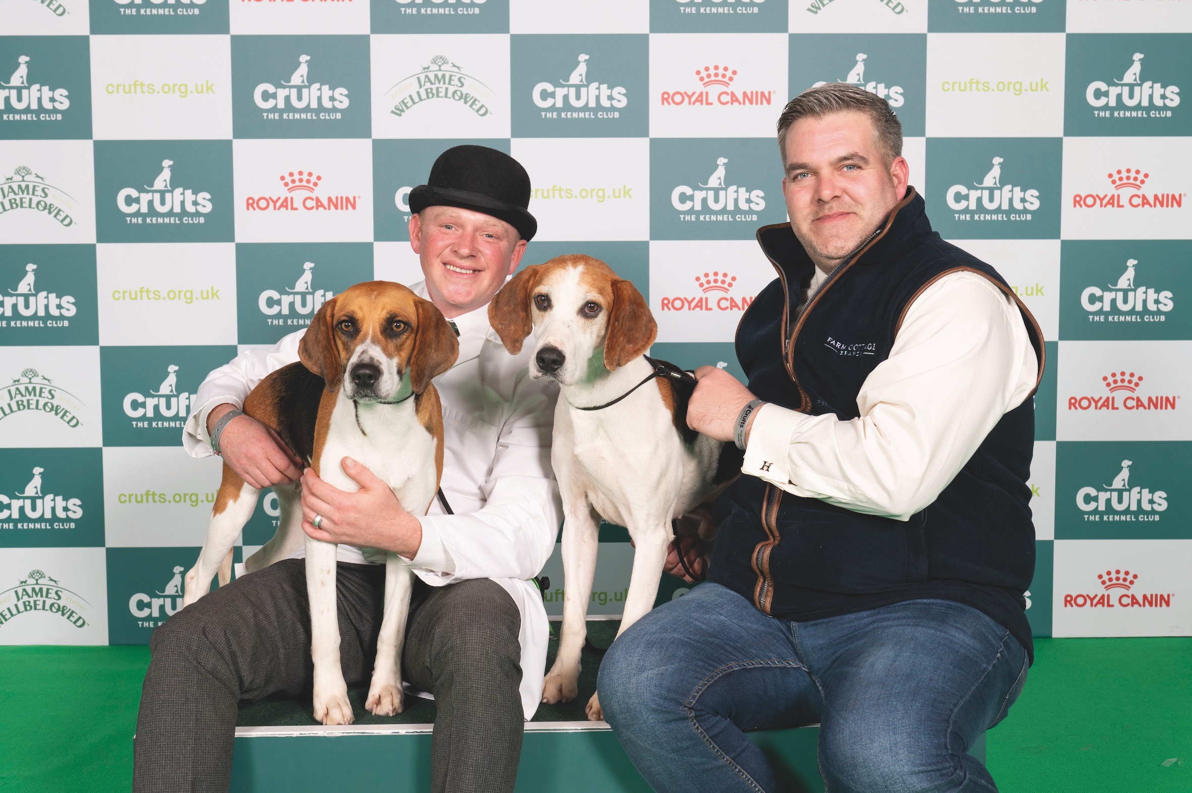 Rare-breed harriers triumph at Crufts 2024