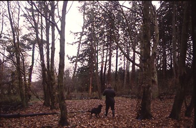 Feeding time &#8211; but who decides?