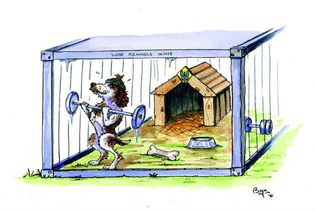 kennel-dog-pg-103