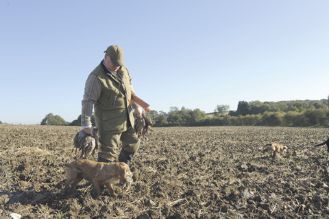 Kirtling Tower: Game shooting in Suffolk