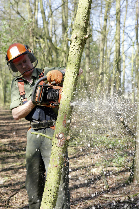 Shoot managment: Lowground Technical Services (GWCT)