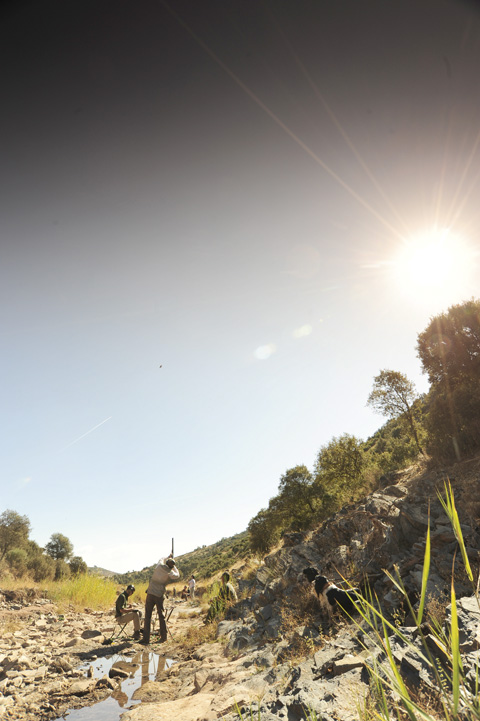 Partridge shooting in La Cuesta, Spain