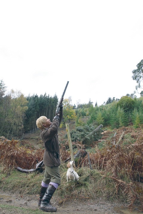 Game shooting at Lingholm, Cumbria