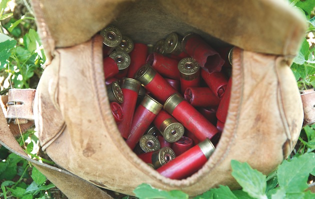 65% of country&#8217;s shoots will be &#8216;lead free&#8217; by end of 2023, according to survey