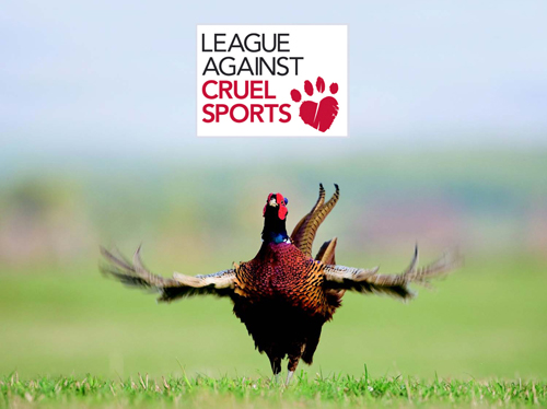 League Against Cruel Sports video taken down