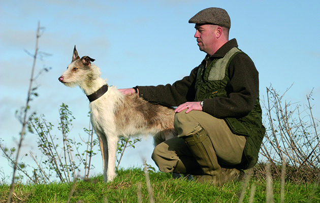 Lurcher