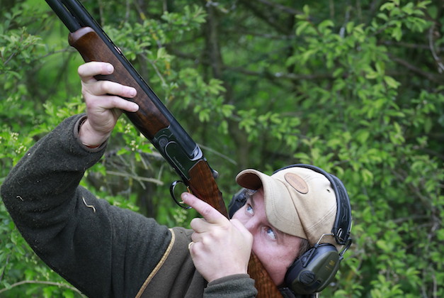 shooting pigeons with a Perazzi MX20 