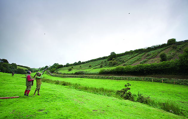 partridge shoots