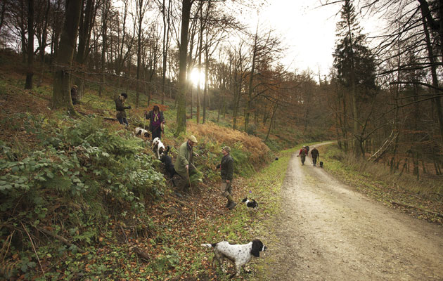 Magna Carta &#8211; how did it shape our fieldsports heritage?