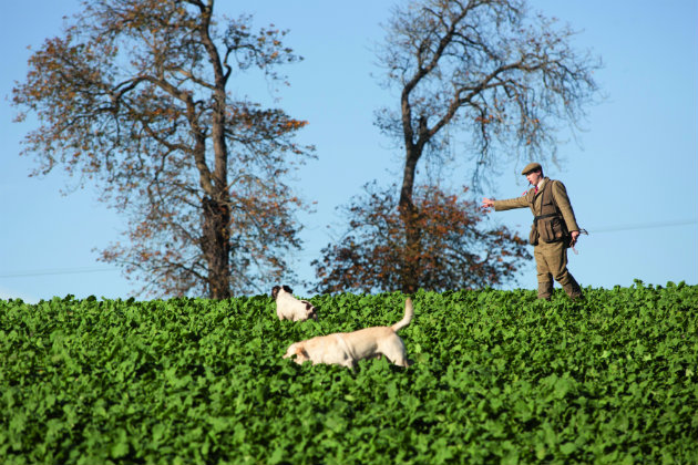 young gamekeeper on cover crops 
