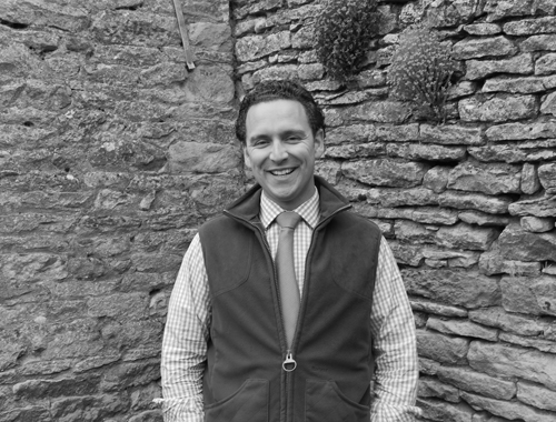 Atkin Grant &amp; Lang joins forces with Primoris Sporting