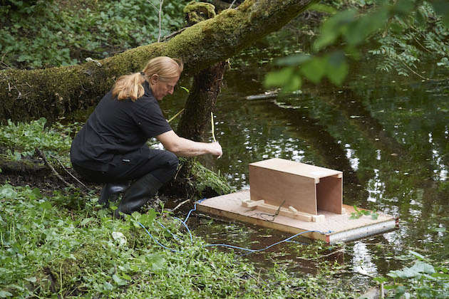 setting up a mink raft