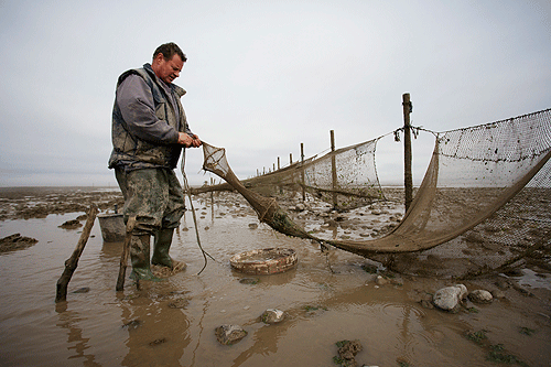 The last mud-horse fishermen