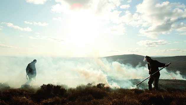 ‘Unworkable’ muirburn rules delayed until 2026