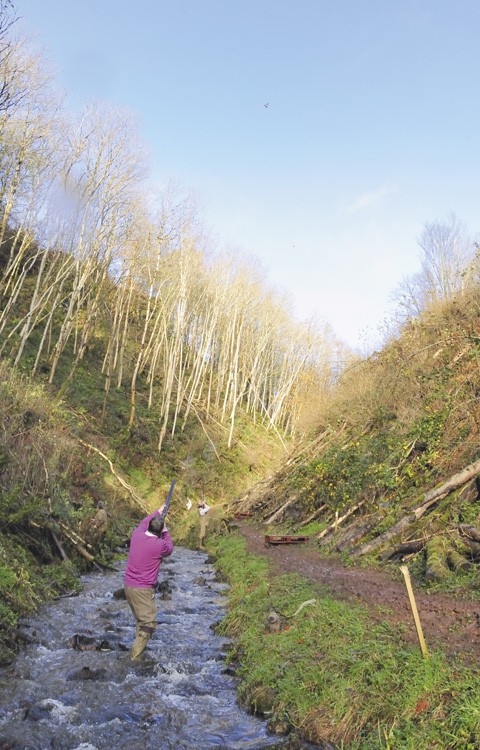 Game shooting at Mutehill, Dumfries &amp; Galloway