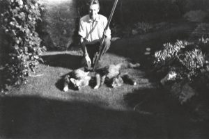 Tales from a lifetime of foxing