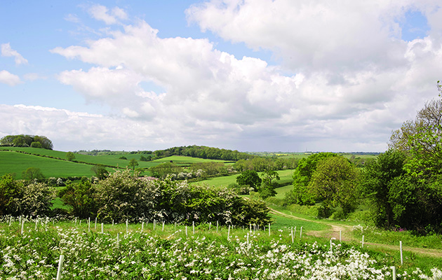 Farming groups press DEFRA for clarification on post-Brexit policies