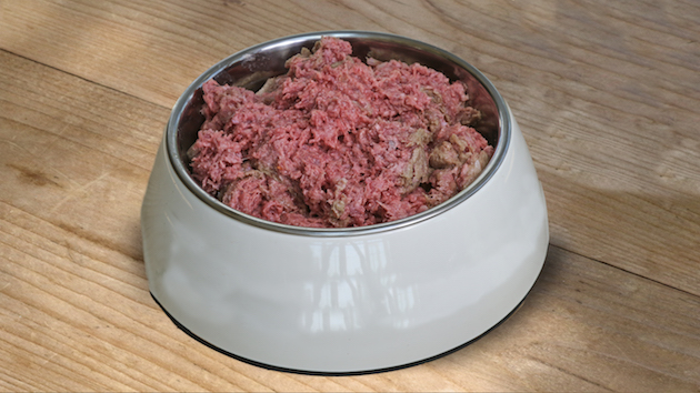 working dog diet