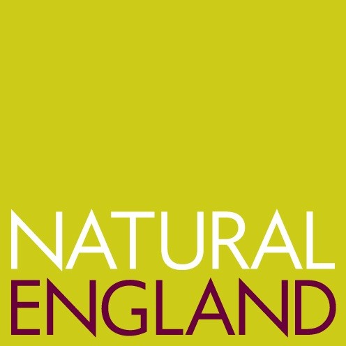 Great white nests in UK