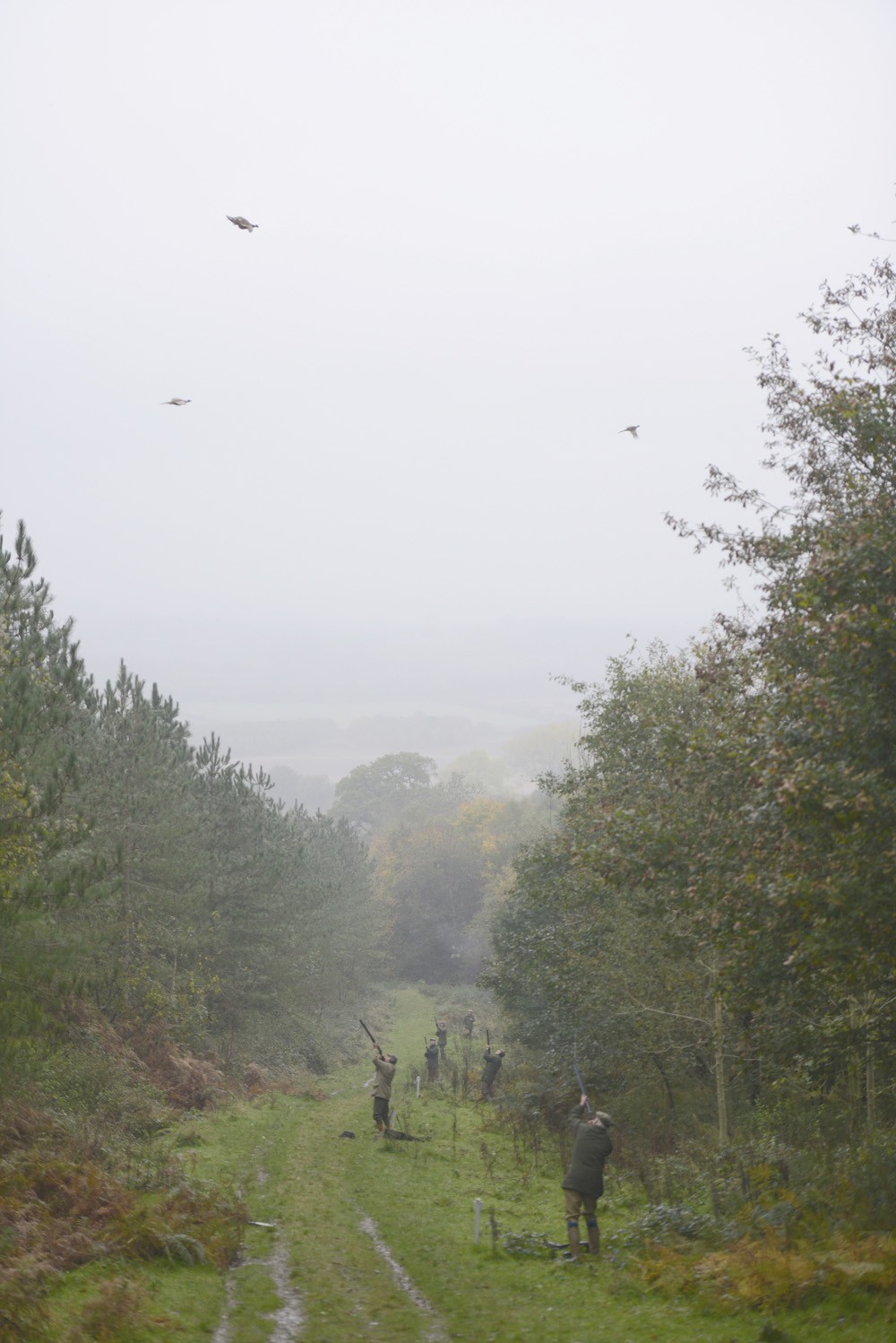 Stoke Edith: Game shooting in Herefordshire