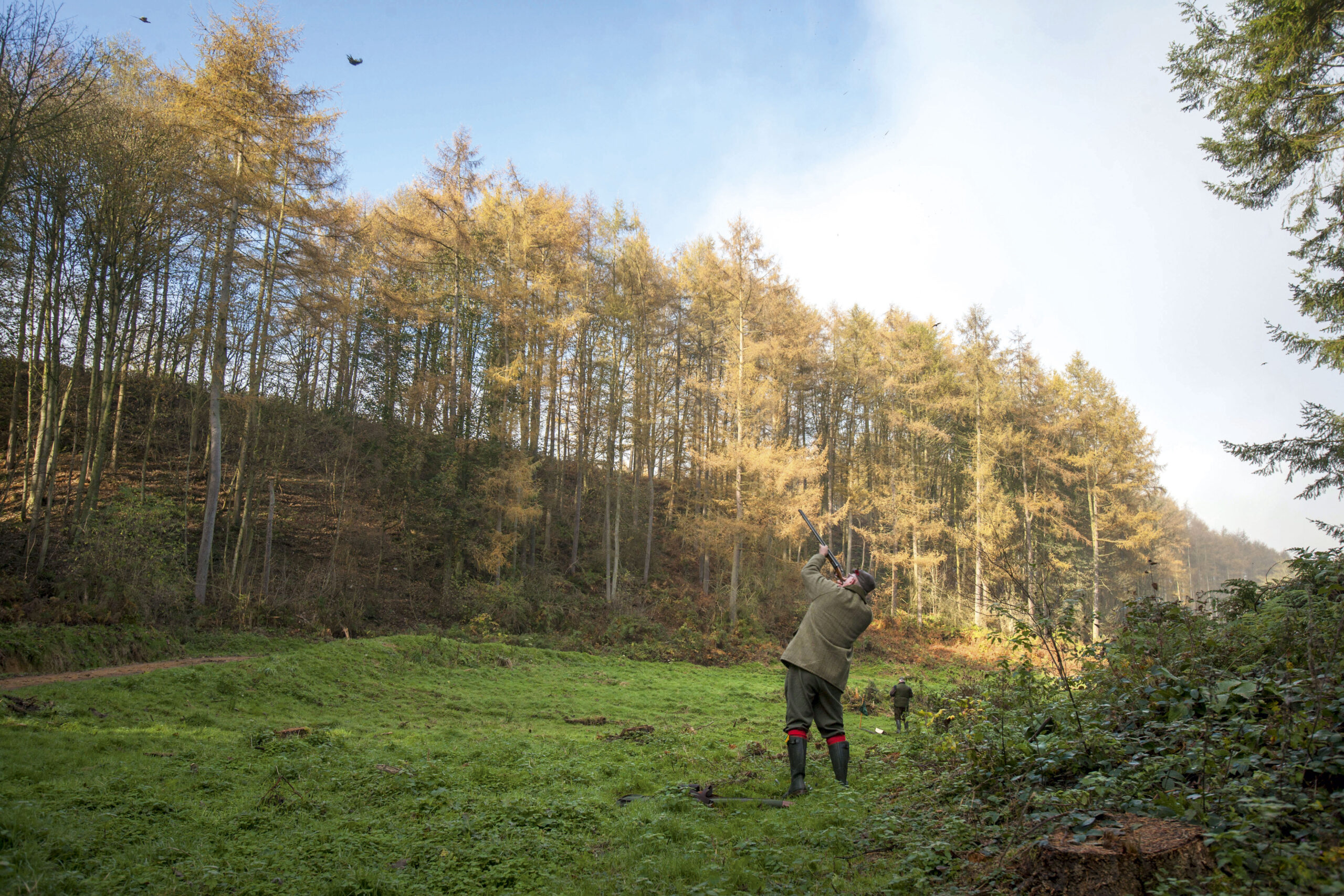 Newburgh Priory: Mixed game shooting in North Yorkshire