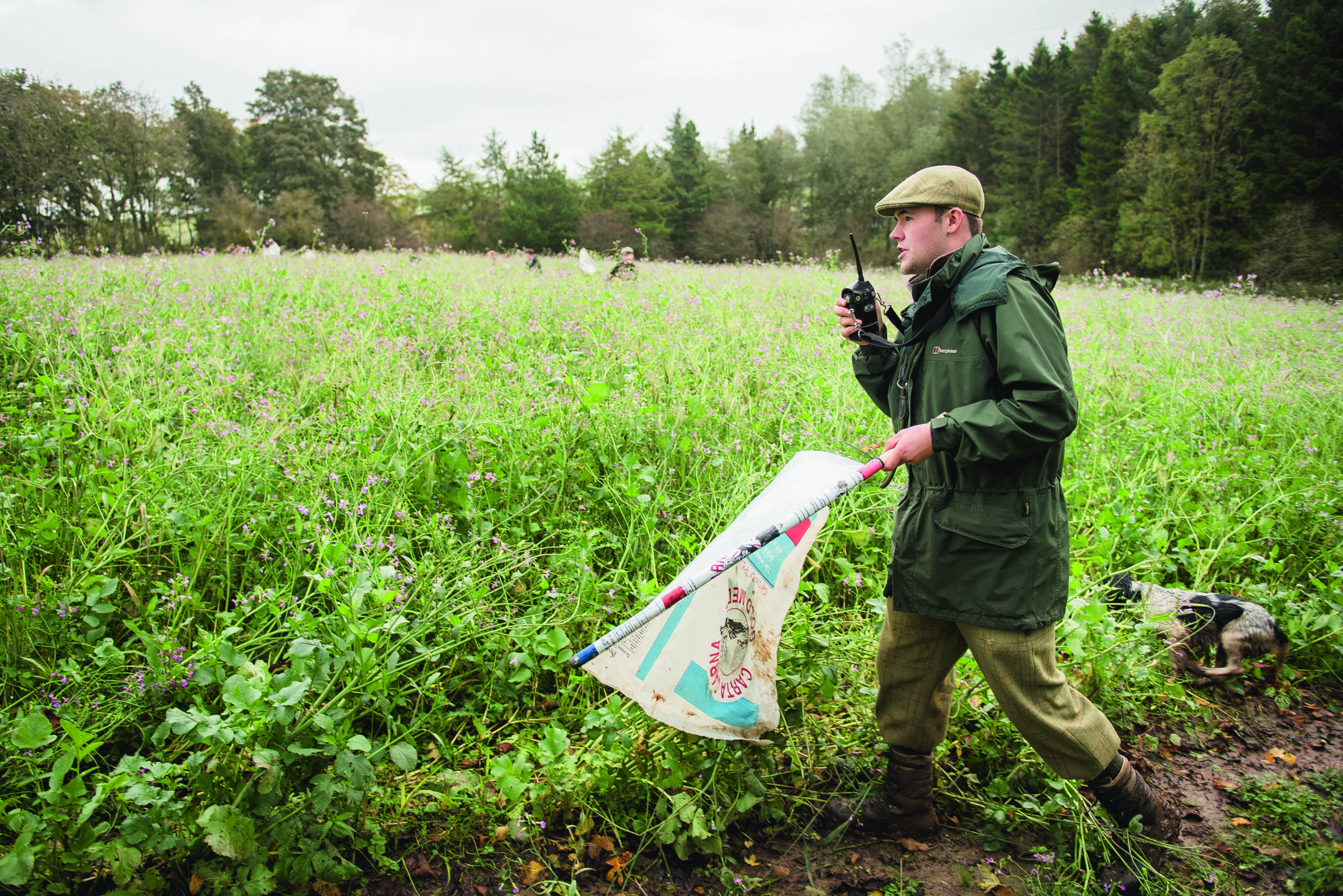 A new look to land-based career path?