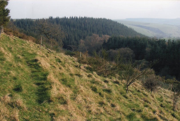 hillside on own shoot 