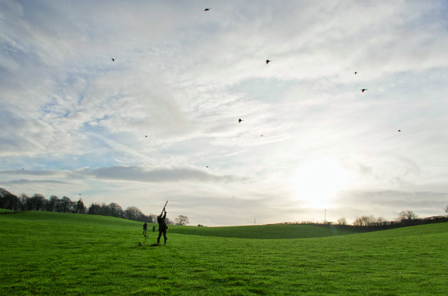 game shooting at sunset