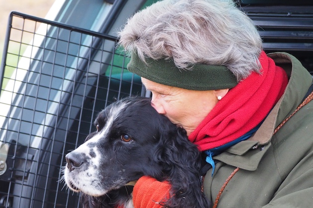 Priti Patel launches taskforce to combat dog theft