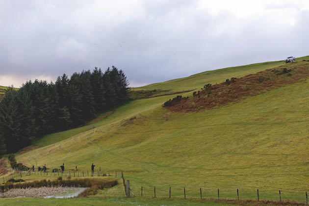 Dovey Valley 