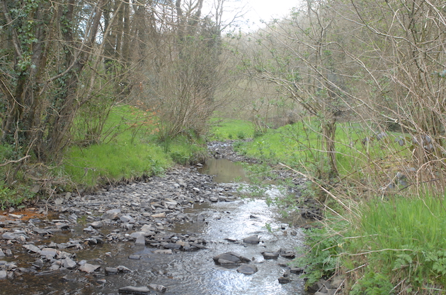 country river