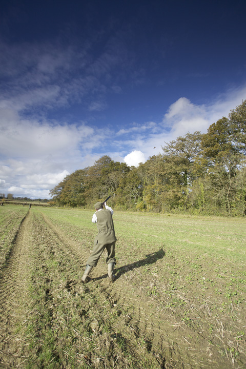 The Kingweston shoot: Game shooting in Somerset