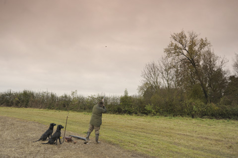 Southfields Farm: Game shooting in Leicestershire